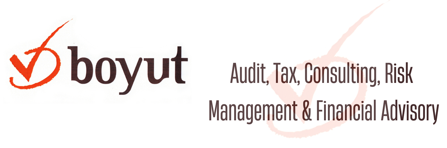 Boyut Audit and Tax